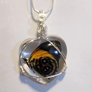 Real butterfly necklace